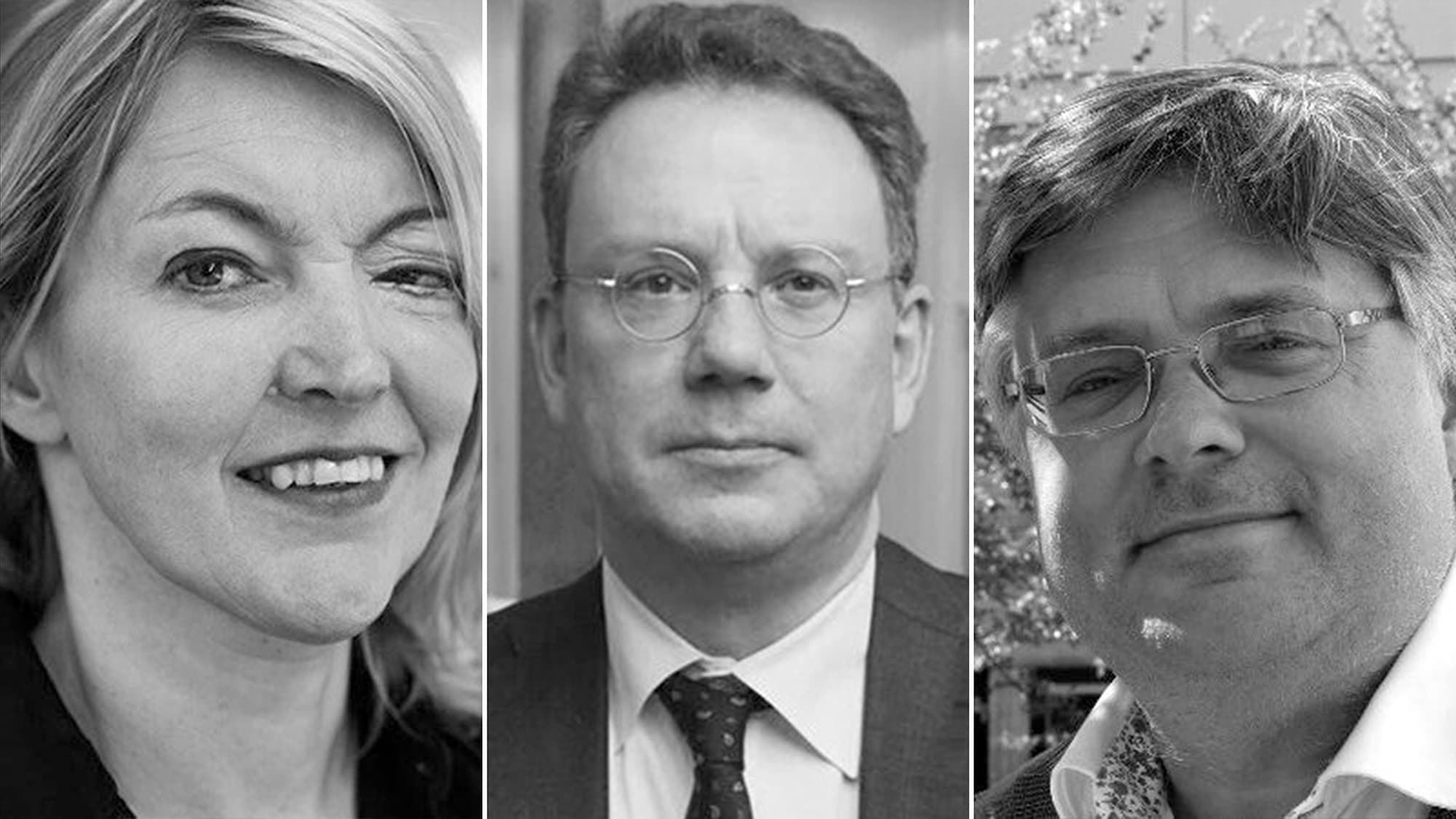 Kommentarer om skatteprojektet från tre forskare